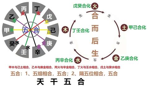 天干五合|天干相合，天干五合在八字中的寓意以及取象